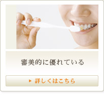 審美的に優れている